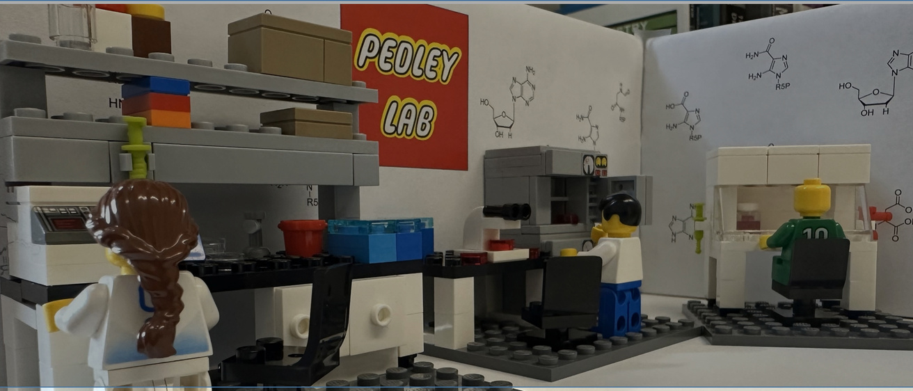 banner_pedley_lego
